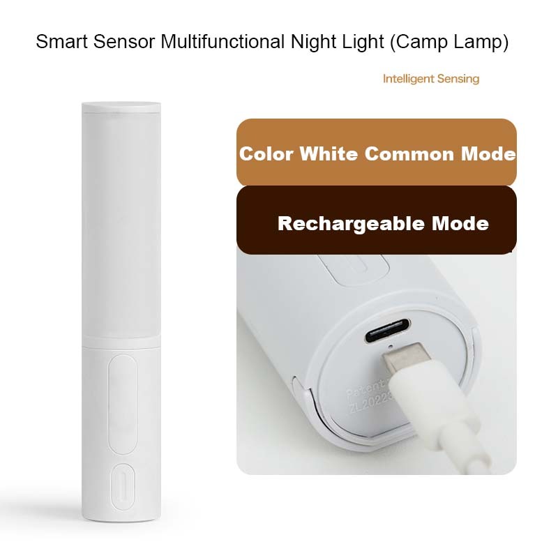 Smart Human Body Induction Motion Sensor LED Night Light